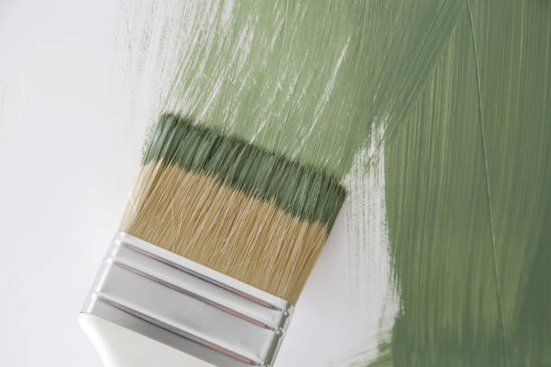 Best Attic Mold Removal  in St Leon, IN
