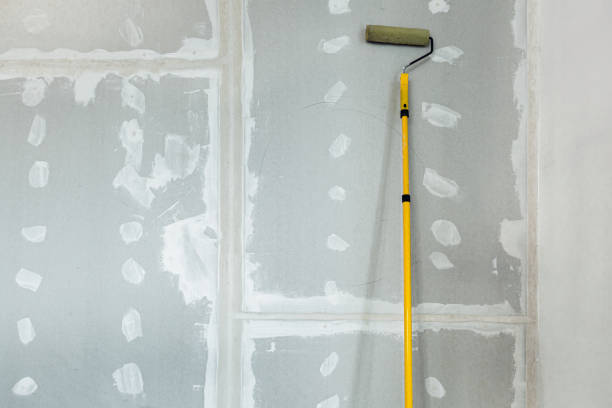 Best Commercial Mold Inspection  in St Leon, IN
