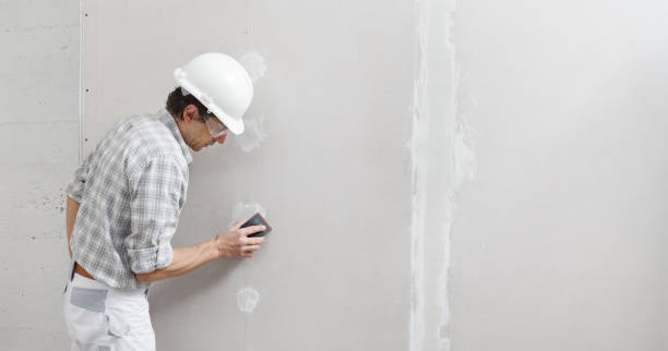 Best Post-Construction Mold Inspection  in St Leon, IN
