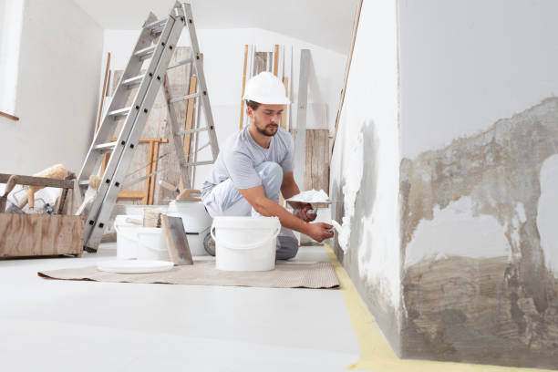 Reliable St Leon, IN Mold Removal Solutions