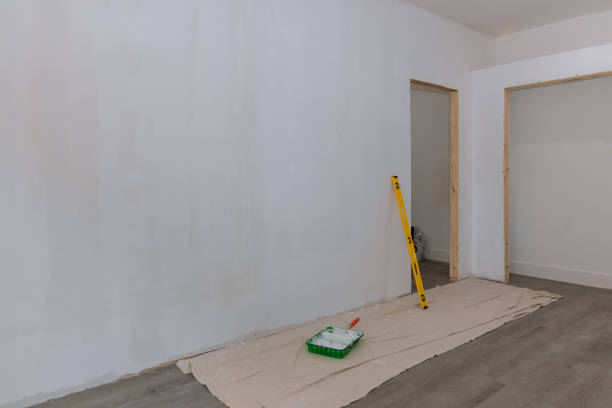 Best Black Mold Removal  in St Leon, IN