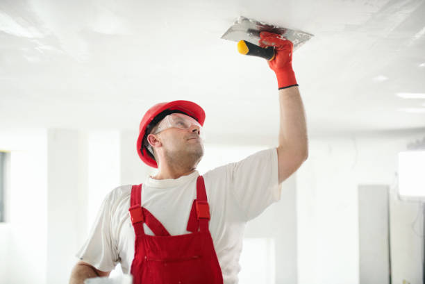 St Leon, IN Mold Removal Company