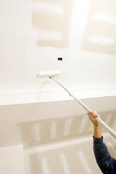 Best Basement Mold Removal  in St Leon, IN