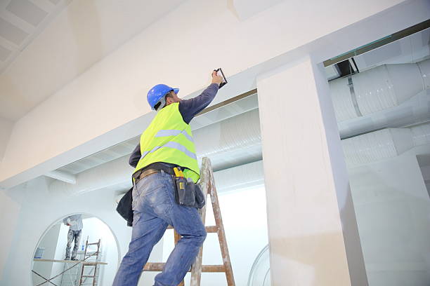 Best Mold Remediation for Healthcare Facilities  in St Leon, IN