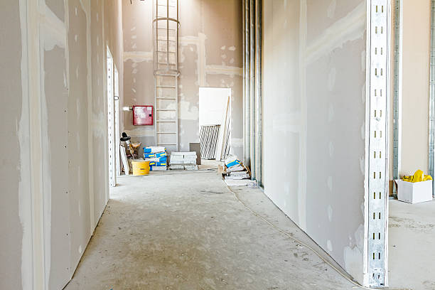 Best Mold Removal for HVAC Installations  in St Leon, IN