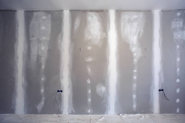 Best Mold Damage Restoration  in St Leon, IN